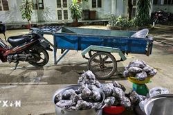 Tây Ninh bắt vụ vận chuyển trái phép 127kg thằn lằn núi Bà Đen