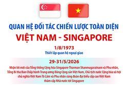 Quan hệ Đối tác chiến lược toàn diện Việt Nam - Singapore