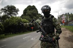 Colombia: Đụng độ giữa các nhóm vũ trang, gần 50 người thiệt mạng