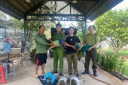 Công an xã Đông Thạnh tiếp nhận 9 cá thể công do dân giao nộp