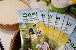 Cổ phiếu AAN đứt chuỗi tăng trần ngay sau khi nhận yêu cầu giải trình từ HoSE