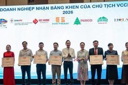 Gia Lai: 4 doanh nghiệp nhận bằng khen của VCCI