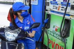 Xe đời cũ có 'kén' xăng E10 như lo ngại?