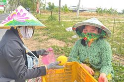 Đồng Tháp đưa 'chợ số' đến với nông dân