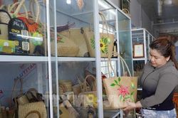 Loài cỏ vùng biên An Giang hóa túi xách thời trang