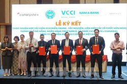 Chuyển đổi xanh: Giấy thông hành của doanh nghiệp