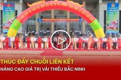 Th&uacute;c đẩy chuỗi li&ecirc;n kết, n&acirc;ng cao gi&aacute; trị vải thiều Bắc Ninh
