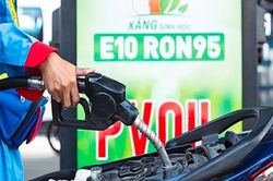 Không để gián đoạn nguồn cung xăng sinh học trong mọi tình huống