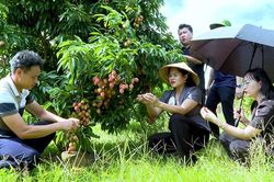 Quang Chiểu giảm nghèo thông tin, cải thiện đời sống người dân