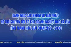 [Infographics] Danh mục c&aacute;c nhiệm vụ, giải ph&aacute;p hỗ trợ chuyển đổi số cho doanh nghiệp nhỏ v&agrave; vừa tỉnh Thanh H&oacute;a