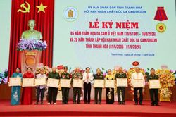 Kỷ niệm 20 năm th&agrave;nh lập Hội Nạn nh&acirc;n chất độc da cam/dioxin