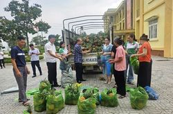 Đồng hành cùng nông dân tiêu thụ dứa