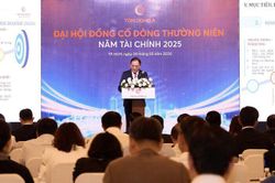 ĐHĐCĐ Tôn Đông Á: Dự kiến đầu tư 3.000–3.500 tỷ đồng giai đoạn 2026–2030, chuẩn bị niêm yết HOSE