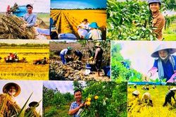 Nâng tầm vị thế nông dân Việt Nam trong kỷ nguyên vươn mình
