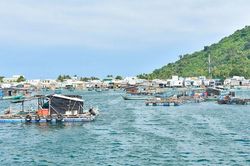 Sức sống mới ở đặc khu Kiên Hải