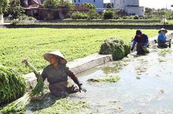 Tạo đồng thuận từ những mô hình gần dân