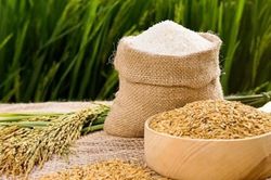 Thị trường lúa gạo ngày 29/5: Giá lúa neo cao, xuất khẩu gạo Ấn Độ sụt giảm