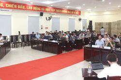 Đà Nẵng: 56 tổ chức, cá nhân 'đấu giá' thuê ngắn hạn 8 khu đất