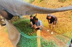 Huổi Khon - Bình yên từ lòng dân vững chắc (bài 2)