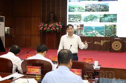 Cho ý kiến quy hoạch chung đô thị liên phường Điện Biên Phủ - Mường Thanh