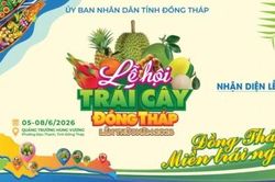 Công bố Biểu trưng và bộ nhận diện chính thức của Lễ hội Trái cây Đồng Tháp lần thứ I, năm 2026