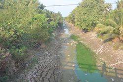 Đồng Tháp: Chủ động ứng phó ảnh hưởng của hiện tượng El Nino