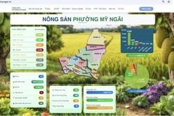 Đồng Tháp hỗ trợ nông dân đưa nông sản vào 'chợ số'