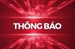 Công ty TNHH MTV Cao su Chư Prông mời đăng ký hợp tác trồng xen cây ngắn ngày trên đất cao su kiến thiết cơ bản