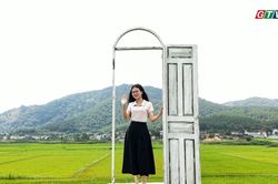 Bình yên cánh đồng Ngô Sơn