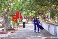 Sắc hoa bàng vuông kiêu hãnh giữa Trường Sa