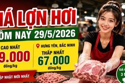 Giá lợn hơi hôm nay 29/5: Hưng Yên, Bắc Ninh dẫn đầu cả nước