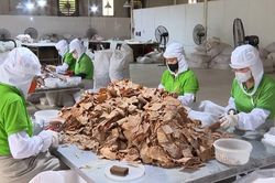 Liên kết nâng cao giá trị sản phẩm măng tre Lào Cai