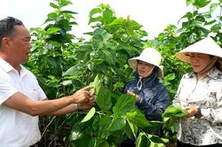Học B&aacute;c từ những việc l&agrave;m cụ thể