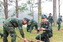 Phủ xanh thao trường