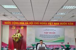 Sở Khoa học và Công nghệ Lâm Đồng triển khai Công điện 38/CĐ-TTg về Quyền sở hữu trí tuệ