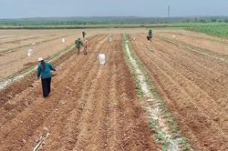Nam Trạch: Chủ động sản xuất vụ hè-thu an toàn, hiệu quả