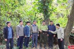Pắc Ngà bảo vệ 'lá phổi xanh'