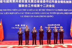 Đưa hợp tác giữa Tuyên Quang và Vân Nam đi vào thực chất, hiệu quả