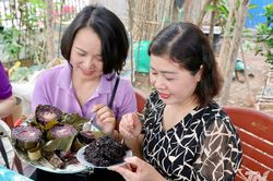Sống khỏe từ gạo tím