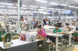 Tạo dựng môi trường cho doanh nghiệp phát triển