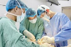 Đầu tư nguồn nhân lực chất lượng cao