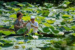 Ngày hội Sen Huế diễn ra từ 19 - 21/6