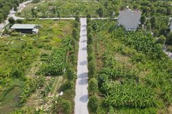 Công khai và xử lý vi phạm đất đai
