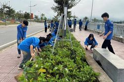 Tuổi trẻ Điện Biên triển khai nhiều hoạt động thiết thực bảo vệ môi trường xanh