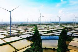 Tiềm năng phát triển điện gió ở Việt Nam rất lớn