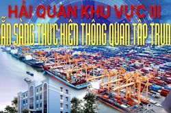 Số hóa chứng từ phục vụ thông quan tập trung từ 1/6/2026