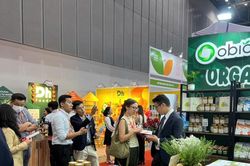 HTX Việt chuyển mình giữa 'bão' logistics và hàng rào xanh