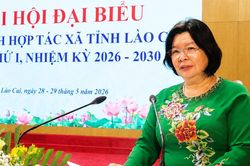 Đại hội Liên minh HTX tỉnh Lào Cai lần thứ I: Đổi mới tư duy, phát triển thực chất