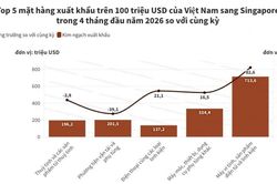 Thương mại Việt Nam - Singapore vượt 5 tỷ USD trong 4 th&aacute;ng đầu năm