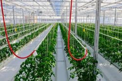 T&aacute;i cấu tr&uacute;c ng&agrave;nh rau quả để n&acirc;ng tầm gi&aacute; trị